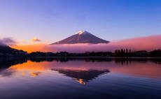 Notes from the Ground: Japan, in bloom?